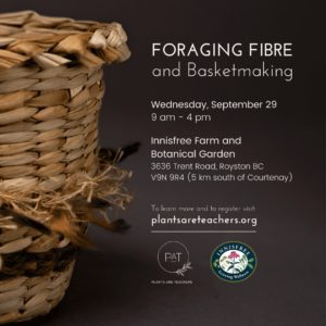 Foraging Fibre and Basketmaking - SOLD OUT