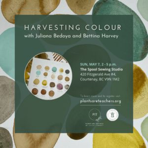 Harvesting Colour: With Artists Bettina Harvey and Juliana Bedoya - May 7