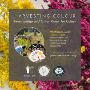 Harvesting Colour: Fresh Indigo and Other Plants for Colour (Aug 9)
