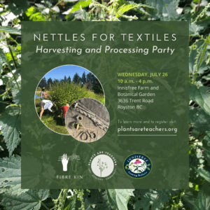 Nettles for Textiles: Harvesting and Processing Party (July 26)
