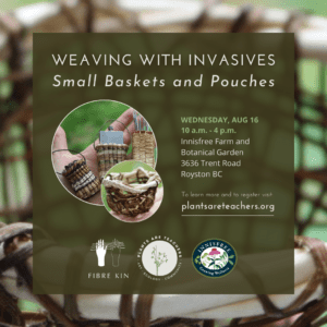 Weaving with Invasives: Small Baskets and Pouches (Aug 16)
